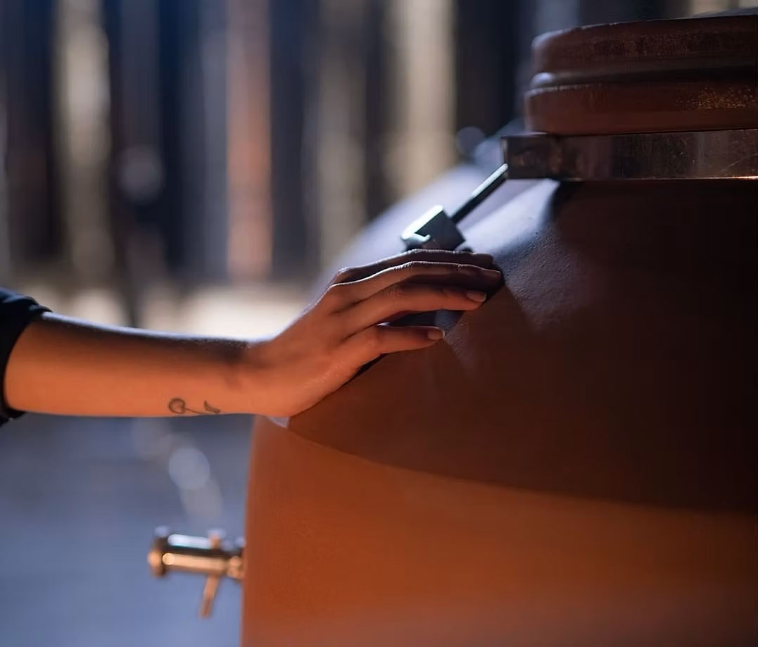 Amphore : La terre, un choix par nature