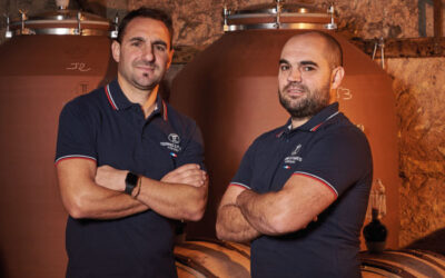 Vinifier le Chardonnay en amphore de grès naturel : retour d’expérience au Domaine Terres 2 Frères